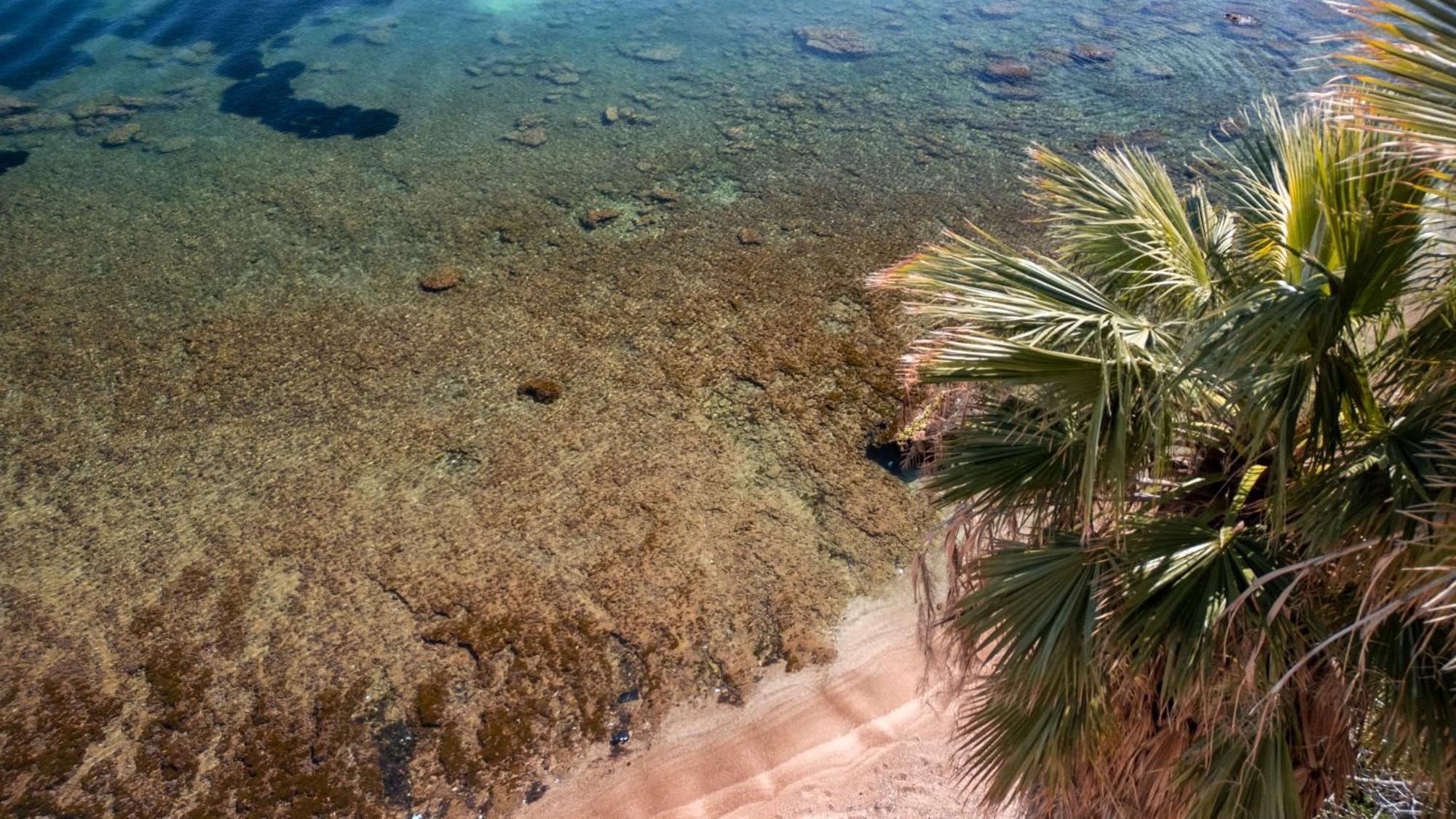 La Casetta Sul Mare Castellammare del Golfo Buitenkant foto